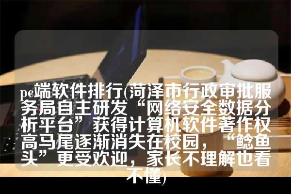 pc端软件排行(菏泽市行政审批服务局自主研发“网络安全数据分析平台”获得计算机软件著作权高马尾逐渐消失在校园，“鲶鱼头”更受欢迎，家长不理解也看不懂)