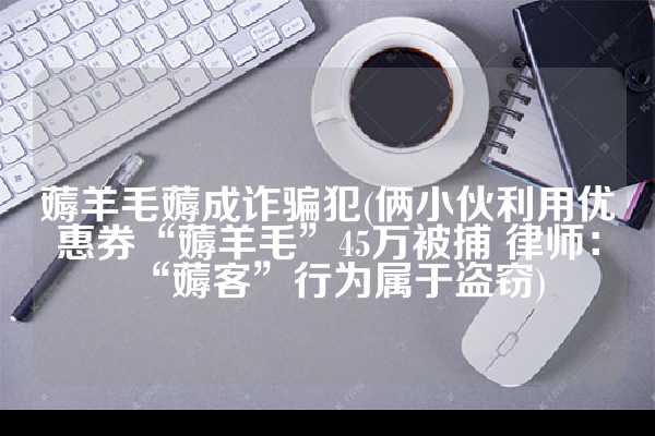 薅羊毛薅成诈骗犯(俩小伙利用优惠券“薅羊毛”45万被捕 律师：“薅客”行为属于盗窃)