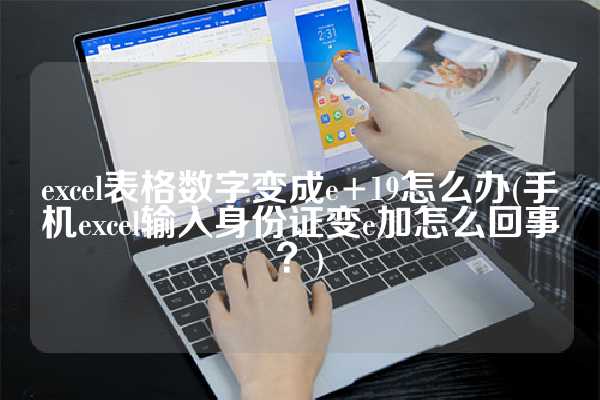 excel表格数字变成e+19怎么办(手机excel输入身份证变e加怎么回事？)
