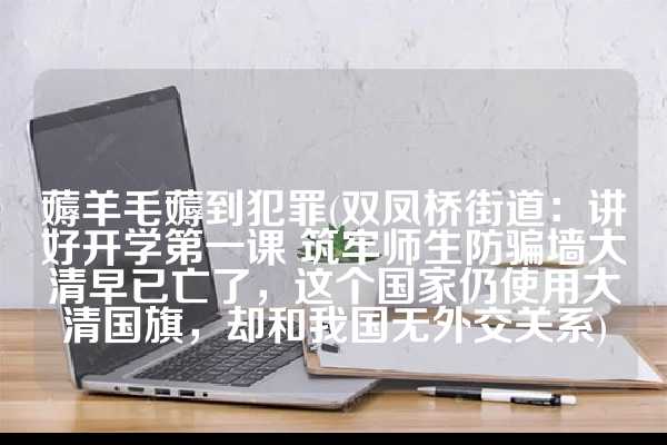 薅羊毛薅到犯罪(双凤桥街道：讲好开学第一课 筑牢师生防骗墙大清早已亡了，这个国家仍使用大清国旗，却和我国无外交关系)