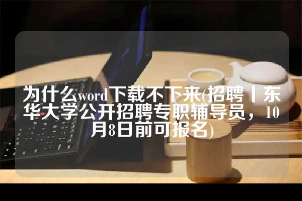 为什么word下载不下来(招聘丨东华大学公开招聘专职辅导员，10月8日前可报名)