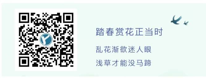 xlsx表格怎么自动排序123(excel表格怎么自动求和?用这个快捷键！)