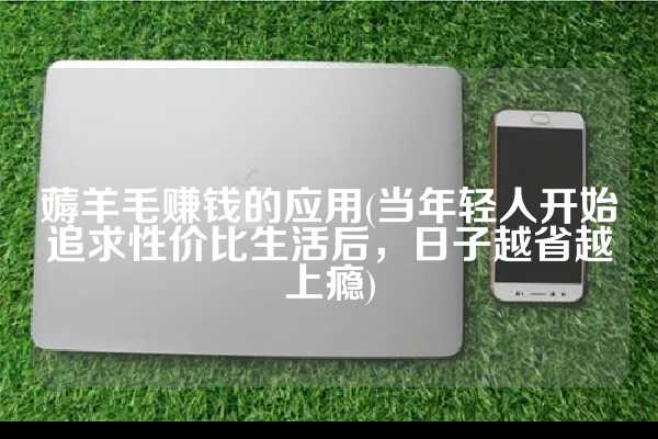 薅羊毛赚钱的应用(当年轻人开始追求性价比生活后，日子越省越上瘾)