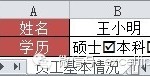 excel表格里方框怎么打钩(在Excel中制作打钩的方框)