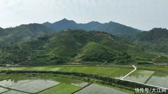 实时报道(小叶子成“金叶子” 婺源“茶科技”赋能茶产业提质增效古代通房丫鬟有多惨？除了暖床外，竟还要做这件恶心事)