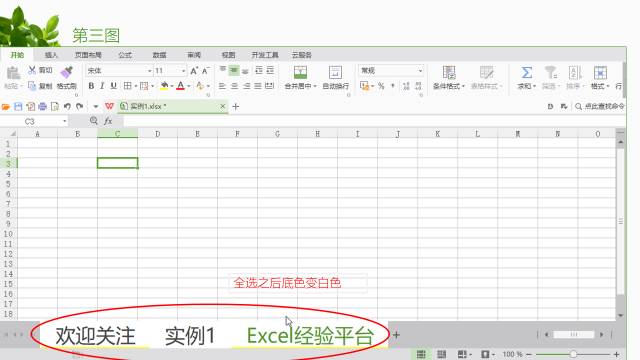 实用excel技巧([图文]Excel实战技巧100例之全选工作表)