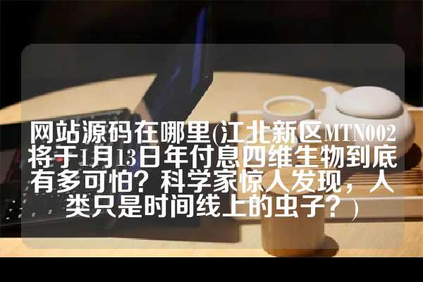 网站源码在哪里(江北新区MTN002将于1月13日年付息四维生物到底有多可怕？科学家惊人发现，人类只是时间线上的虫子？)