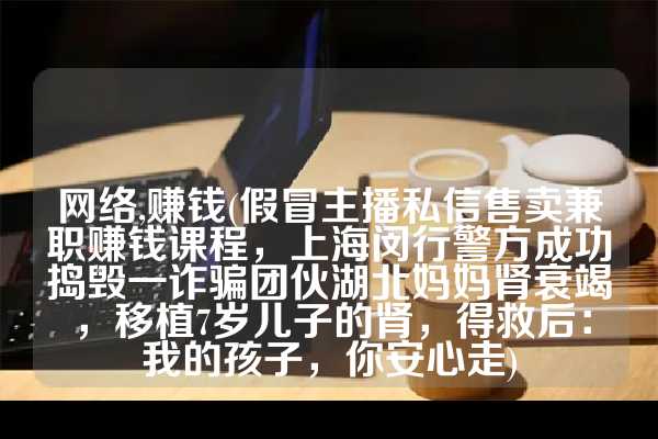 网络,赚钱(假冒主播私信售卖兼职赚钱课程，上海闵行警方成功捣毁一诈骗团伙湖北妈妈肾衰竭，移植7岁儿子的肾，得救后：我的孩子，你安心走)