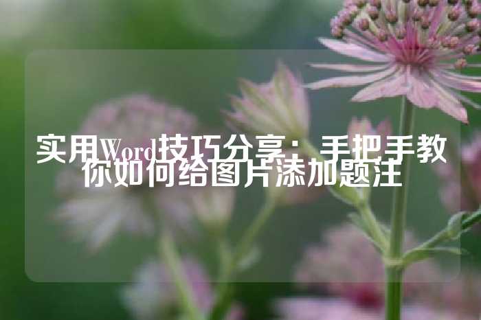 实用Word技巧分享：手把手教你如何给图片添加题注