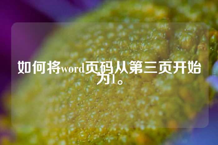 如何将word页码从第三页开始为1。