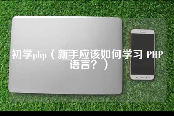 初学php（新手应该如何学习 PHP 语言？）