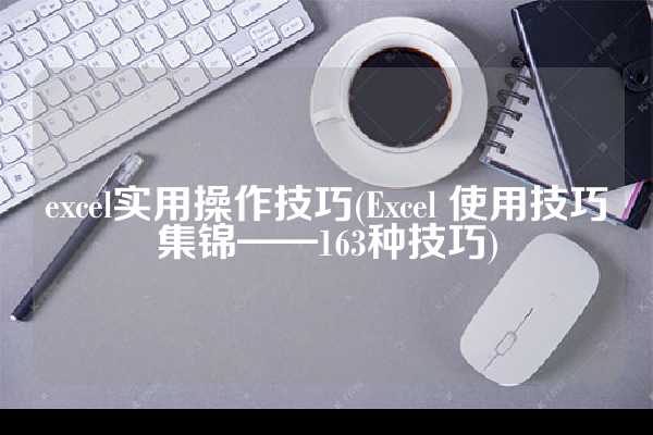 excel实用操作技巧(Excel 使用技巧集锦——163种技巧)