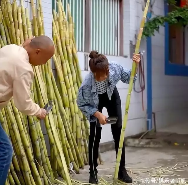 网上挣钱网站导师(连载十余年  网文《校花的贴身高手》陷举报风波的背后彻底原形毕露！五位“国家一级演员”被除名，老戏骨也难翻身)