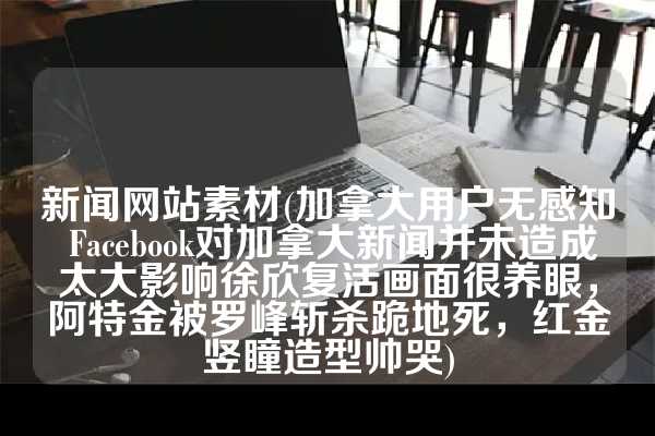 新闻网站素材(加拿大用户无感知 Facebook对加拿大新闻并未造成太大影响徐欣复活画面很养眼，阿特金被罗峰斩杀跪地死，红金竖瞳造型帅哭)