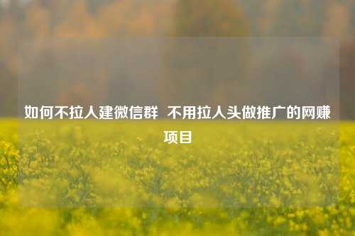 如何不拉人建微信群  不用拉人头做推广的网赚项目