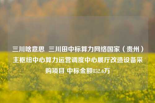 三川啥意思  三川田中标算力网络国家（贵州）主枢纽中心算力运营调度中心展厅改造设备采购项目 中标金额852.6万