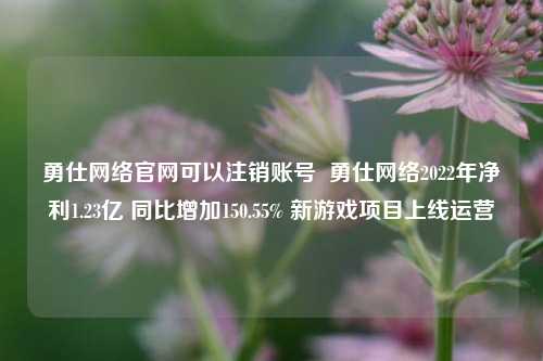 勇仕网络官网可以注销账号  勇仕网络2022年净利1.23亿 同比增加150.55% 新游戏项目上线运营