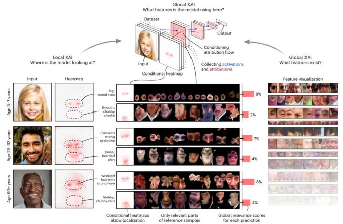 商业新闻公众号(【复材资讯】可解释人工智能XAI | Nature Machine Intelligence)