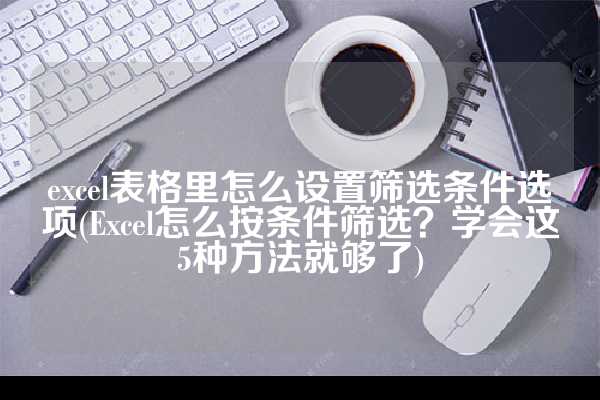 excel表格里怎么设置筛选条件选项(Excel怎么按条件筛选？学会这5种方法就够了)