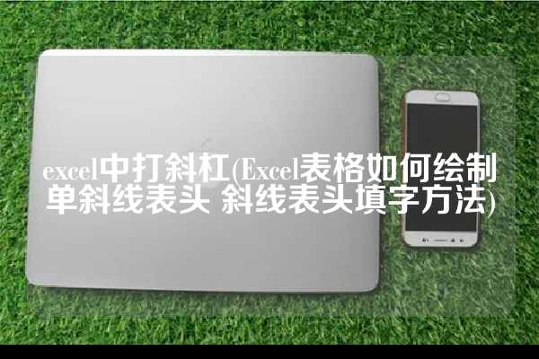 excel中打斜杠(Excel表格如何绘制单斜线表头 斜线表头填字方法)