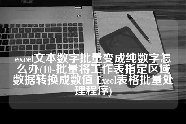 excel文本数字批量变成纯数字怎么办(10-批量将工作表指定区域数据转换成数值 Excel表格批量处理程序)