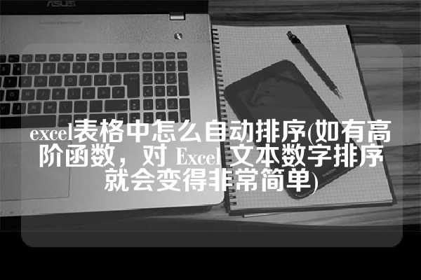 excel表格中怎么自动排序(如有高阶函数，对 Excel 文本数字排序就会变得非常简单)