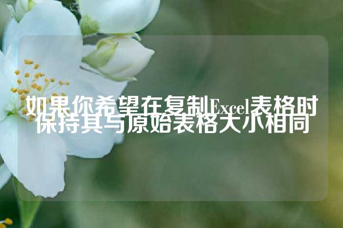 如果你希望在复制Excel表格时保持其与原始表格大小相同