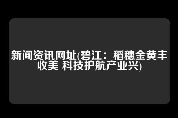 新闻资讯网址(碧江：稻穗金黄丰收美 科技护航产业兴)