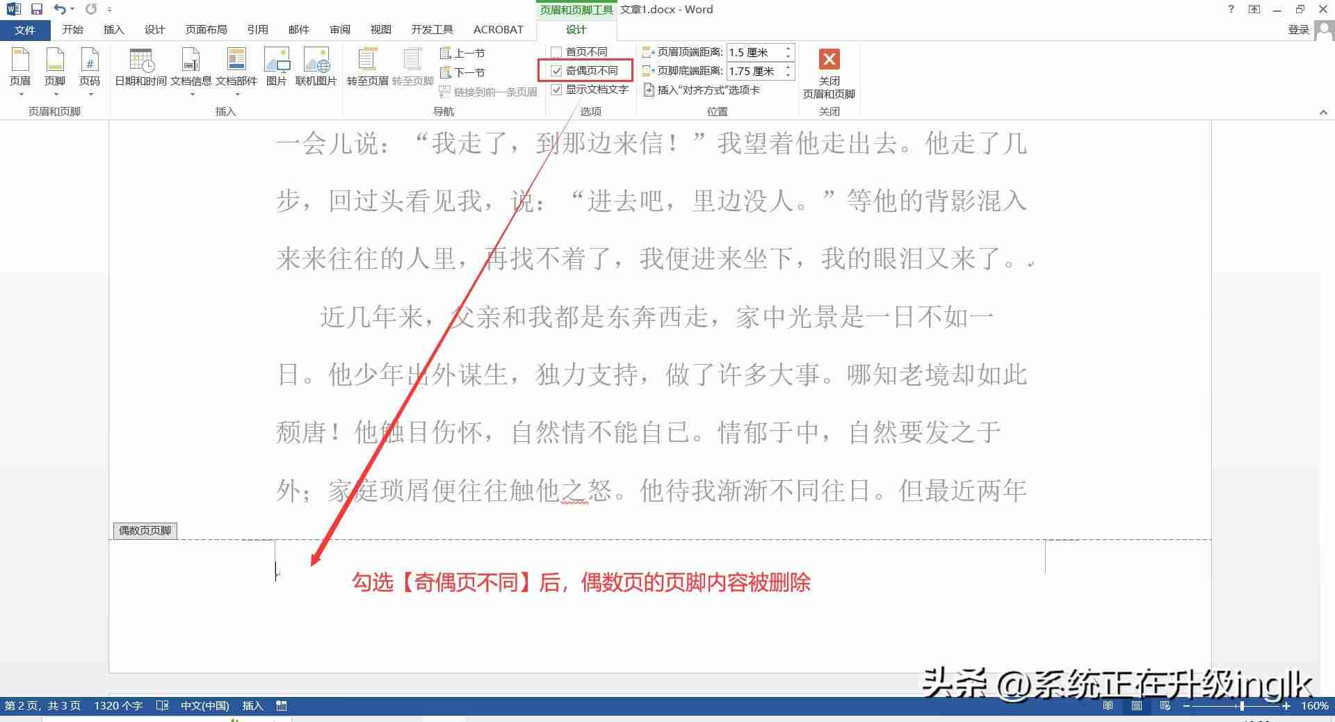 Word页码设置教程，灵活掌握各种页码样式