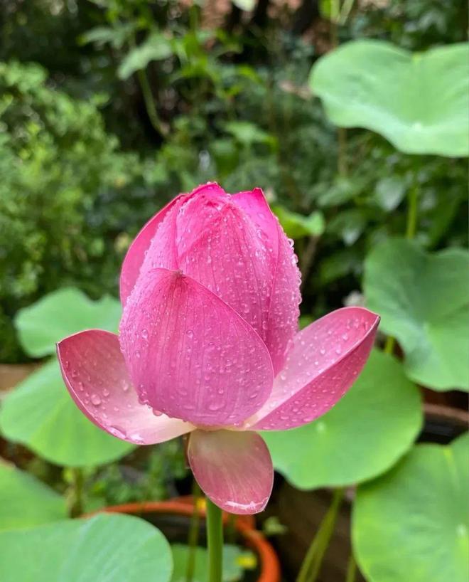 每日一禅：修果