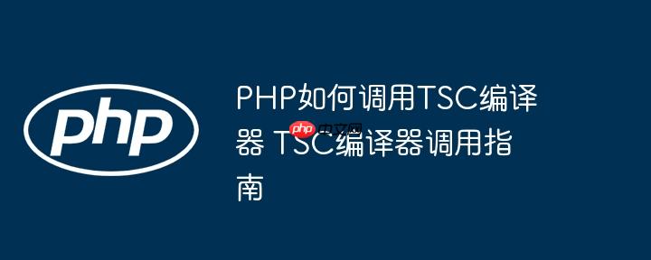 PHP如何调用TSC编译器 TSC编译器调用指南(编译器,调用,指南....)