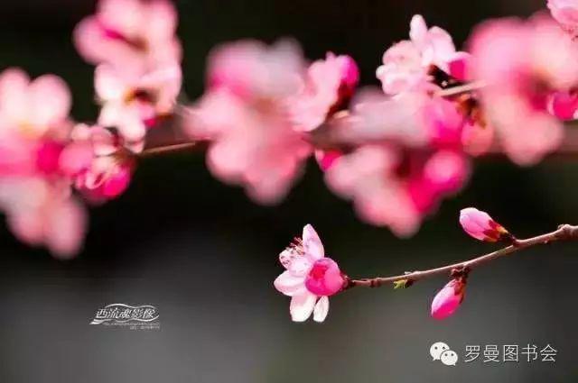 《围城》里最经典的十句话，品读爱情与婚姻
