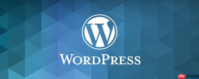 WordPress缓存是什么？怎样启用缓存插件？(缓存,启用,插件,WordPress.....)