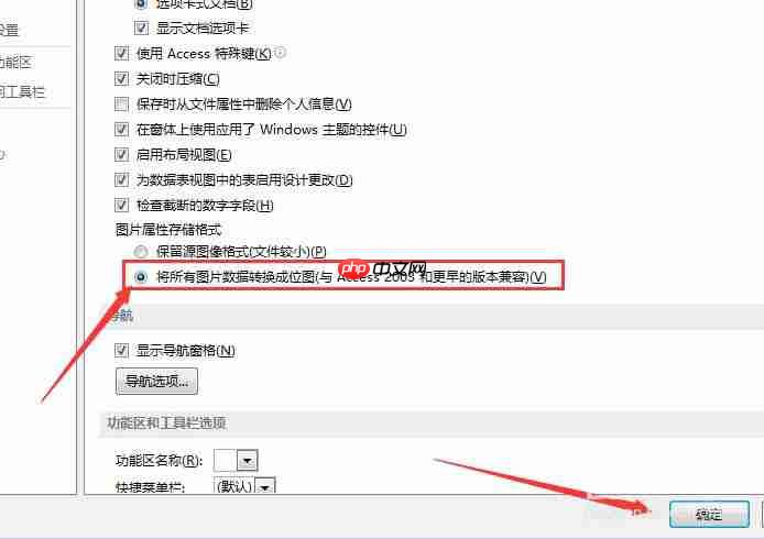 Access数据库图片数据怎么转换成位图