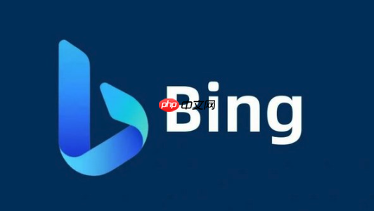 如何优化bing浏览器在线搜索 bing搜索引擎全球检索功能详解