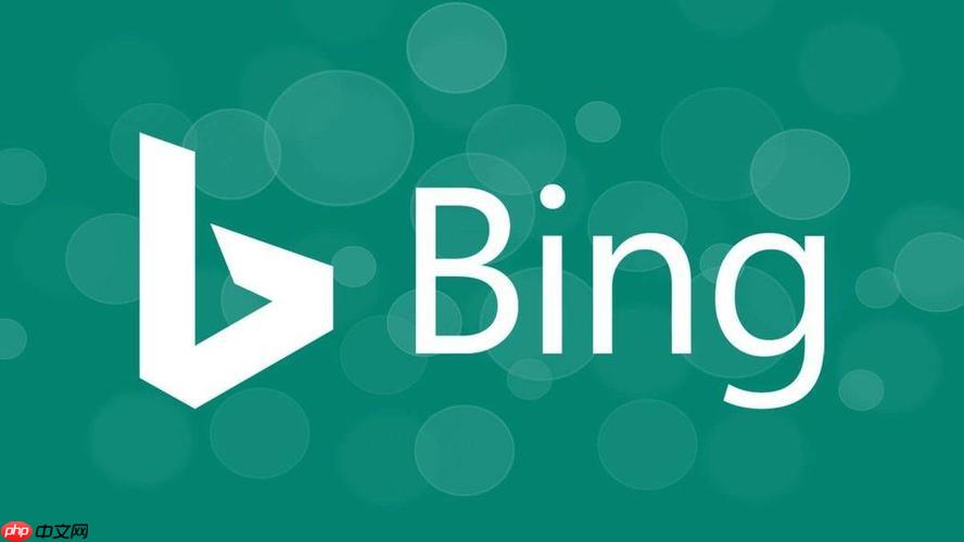 bing搜索浏览器在线使用攻略 bing搜索引擎链接地址一键获取（在线.一键.获取.浏览器.搜索引擎....）