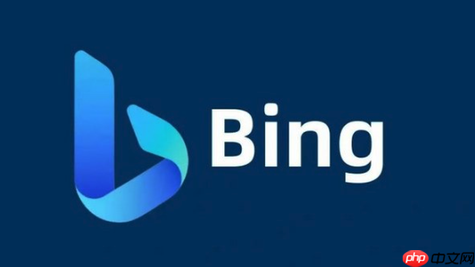 bing搜索浏览器在线使用攻略 bing搜索引擎链接地址一键获取
