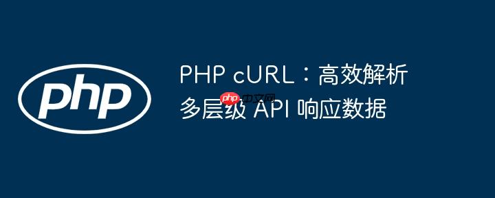 PHP cURL：高效解析多层级 API 响应数据
