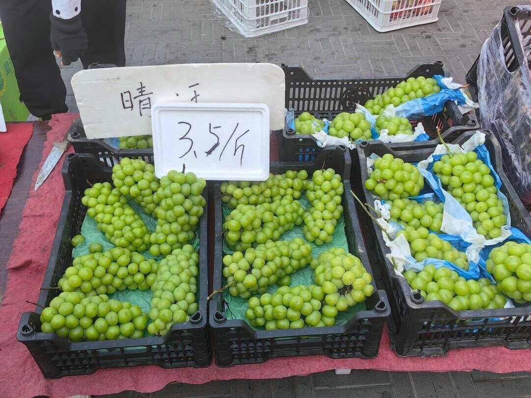 阳光玫瑰跌成“地板价”有人弃种有人寻找出路 还值得种吗?