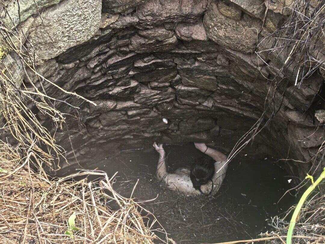 绝境求生!48岁女子不慎坠井后多条蛇缠身,“被咬了也不敢动”,坚持抓井壁54小时后获救