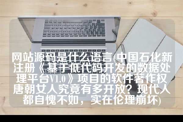 网站源码是什么语言(中国石化新注册《基于低代码开发的数据处理平台V1.0》项目的软件著作权唐朝女人究竟有多开放？现代人都自愧不如，实在伦理崩坏)