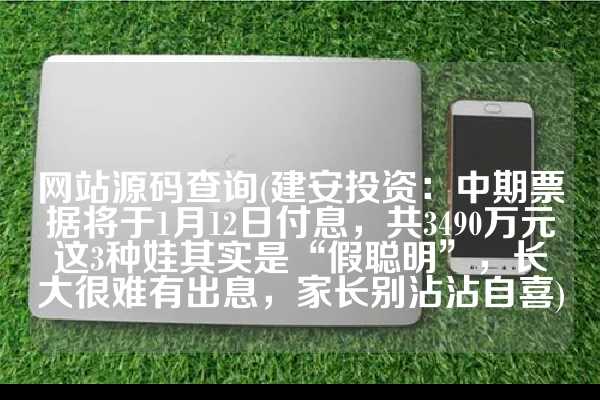 网站源码查询(建安投资：中期票据将于1月12日付息，共3490万元这3种娃其实是“假聪明”，长大很难有出息，家长别沾沾自喜)