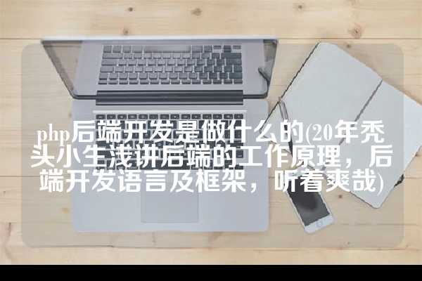 php后端开发是做什么的(20年秃头小生浅讲后端的工作原理，后端开发语言及框架，听着爽哉)