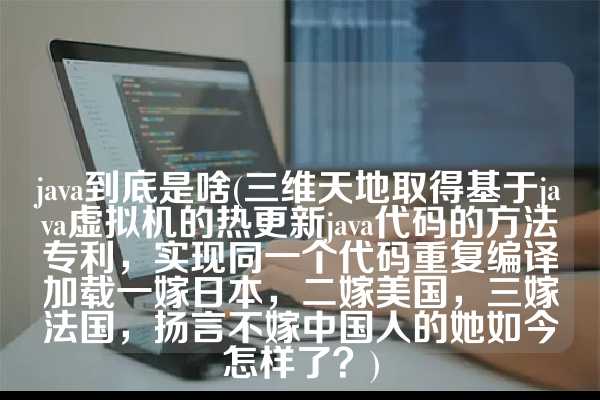 java到底是啥(三维天地取得基于java虚拟机的热更新java代码的方法专利，实现同一个代码重复编译加载一嫁日本，二嫁美国，三嫁法国，扬言不嫁中国人的她如今怎样了？)