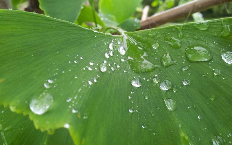 PS零基础入门教程：避开90%新手踩过的学习弯路