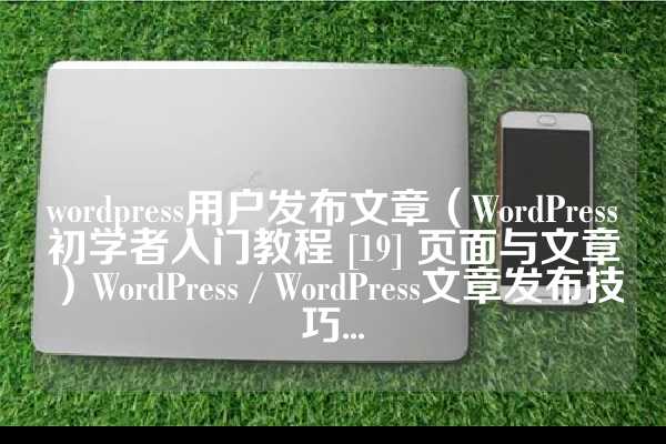 wordpress用户发布文章（WordPress初学者入门教程 [19] 页面与文章）WordPress / WordPress文章发布技巧...