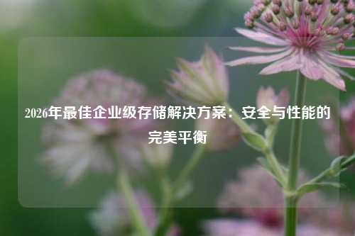 2026年最佳企业级存储解决方案：安全与性能的完美平衡